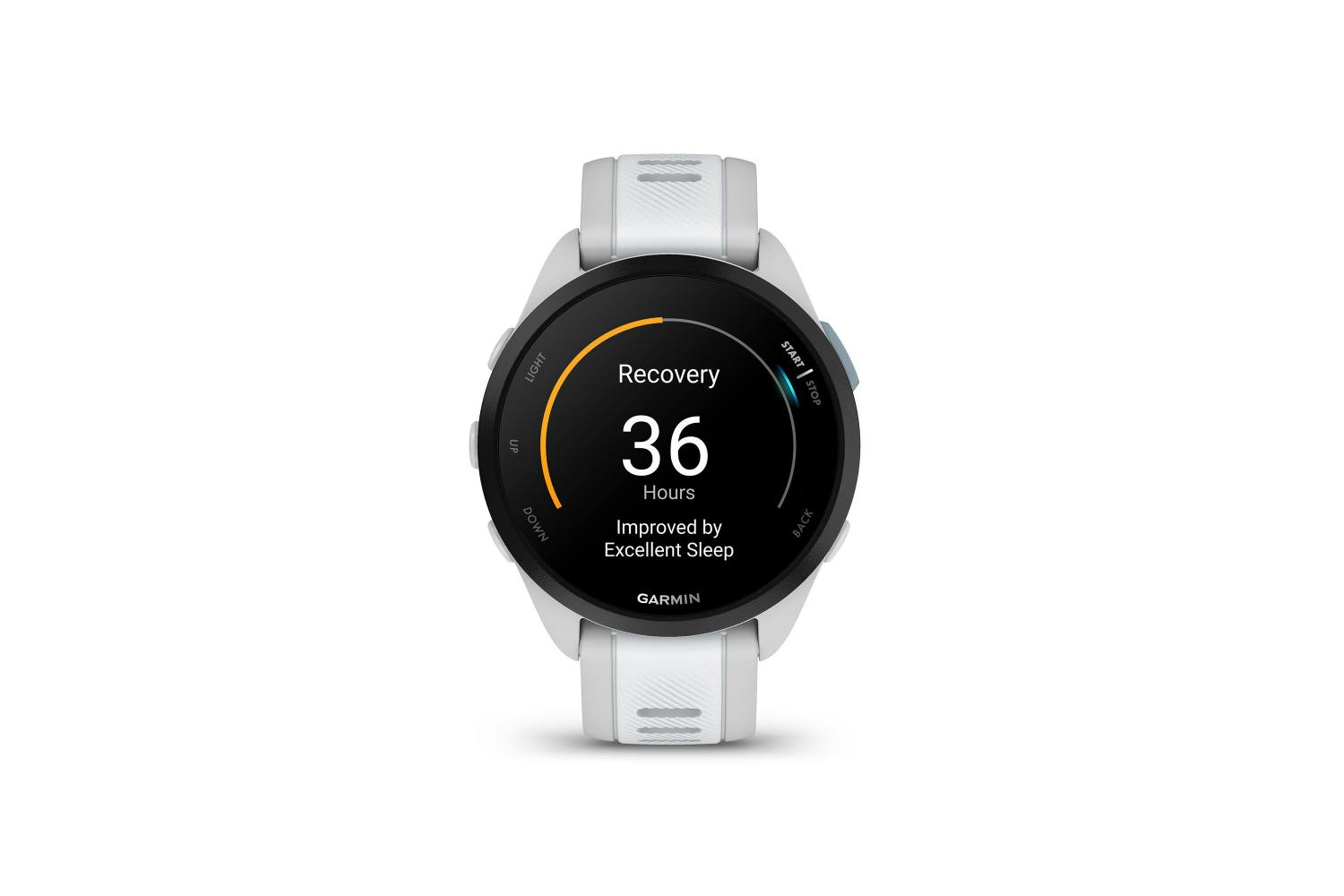 Garmin Forerunner 165 Music Mist Grey/Whitestone | 010-028