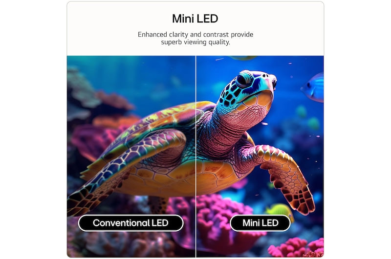 LG 65-inch 4K QNED Smart TV | 65QNED7EB3C.AEI