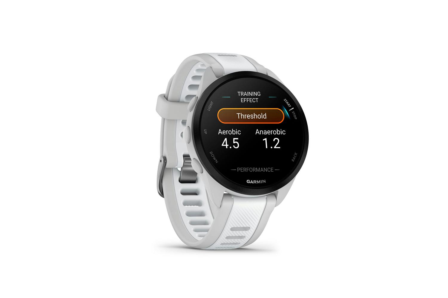 Garmin Forerunner 165 Music Mist Grey/Whitestone | 010-028