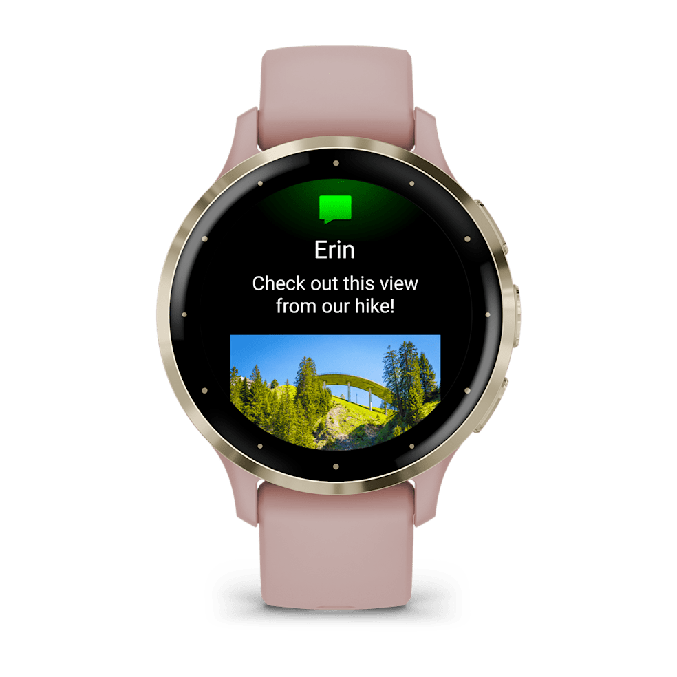 Garmin Venu 3S Soft Gold & French Grey | 010-02785-03